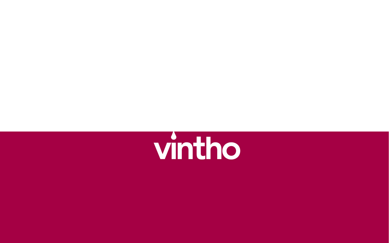 Vintho Consultancy | Rens Otten